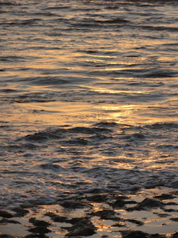 A serene ocean wave gently rolling onto a sandy shore at sunset.