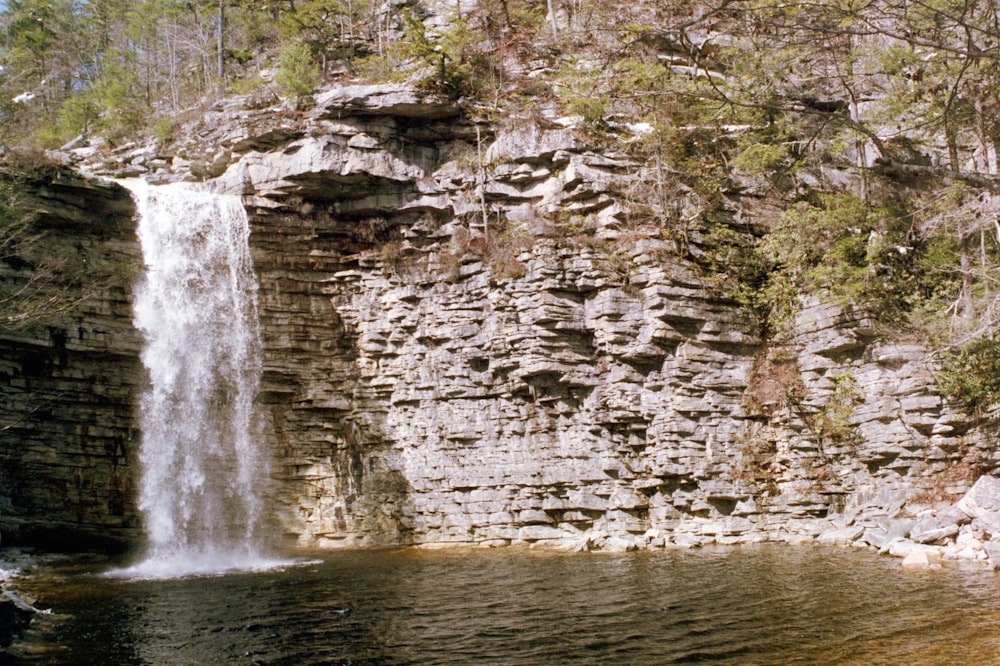 waterfalls surround by trees