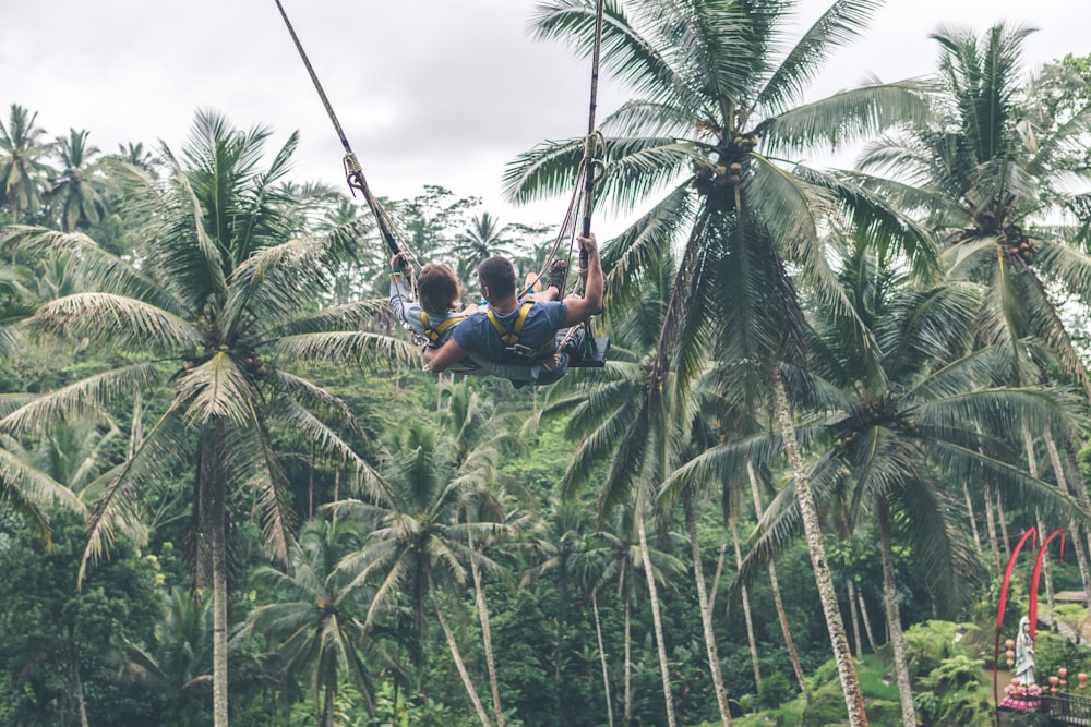 people zip lining near coconut trees
