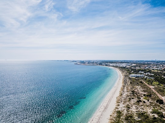 aerial photo of long seashore in Coogee Beach Australia