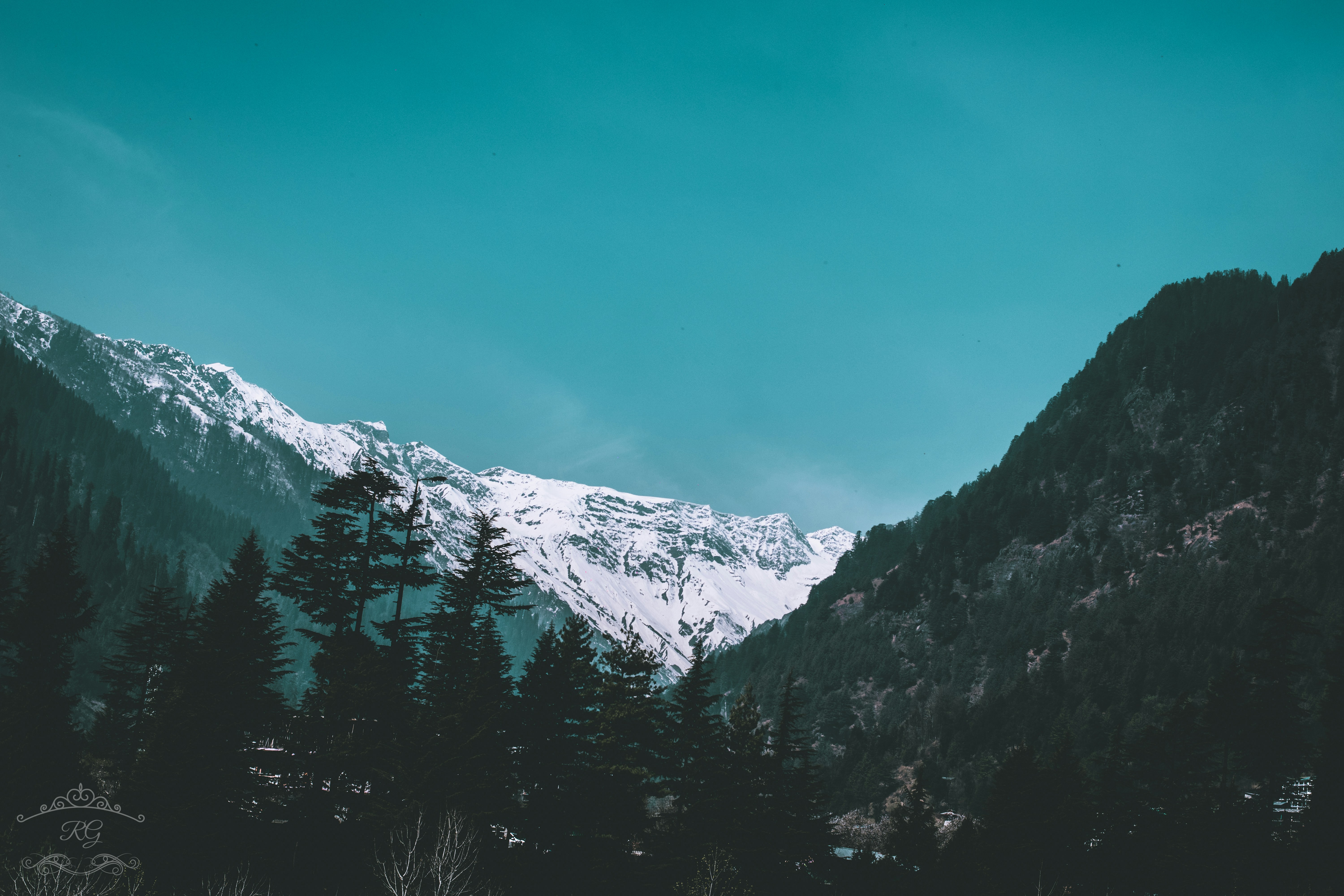 Photo by _i_lonewolf