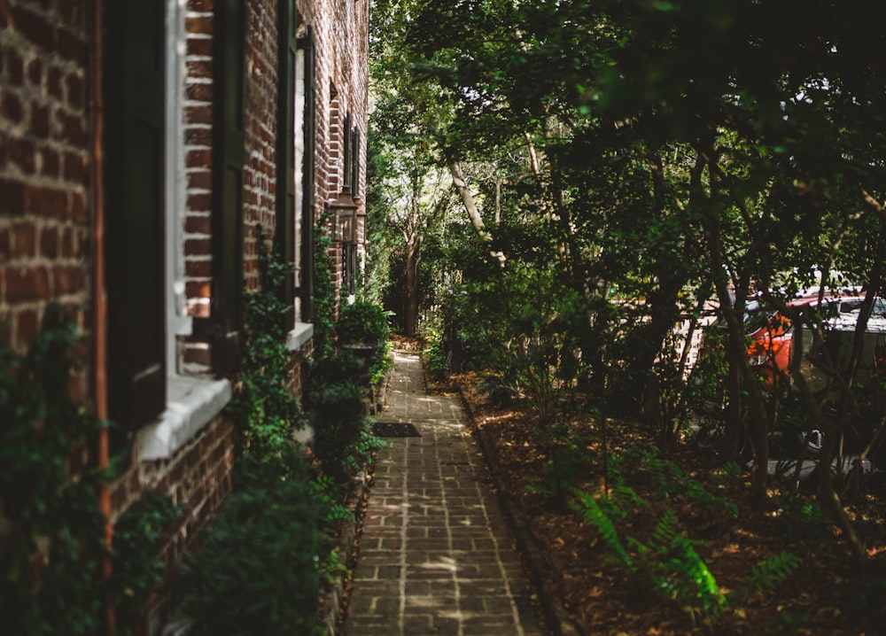 gray concrete pathway beside building and green trees