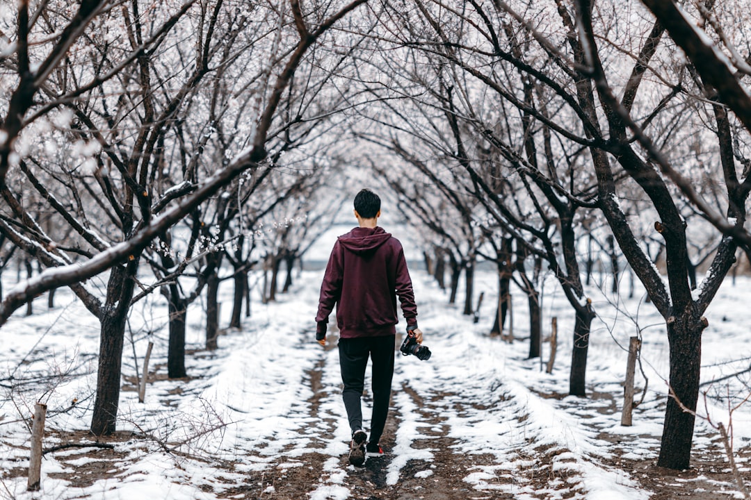man walking across the road surrounded by bare trees, A Sakura does not think of competing with the sakura next to it. It just blooms.</p>
<p></p>
<p>More on roadtripwithraj.com