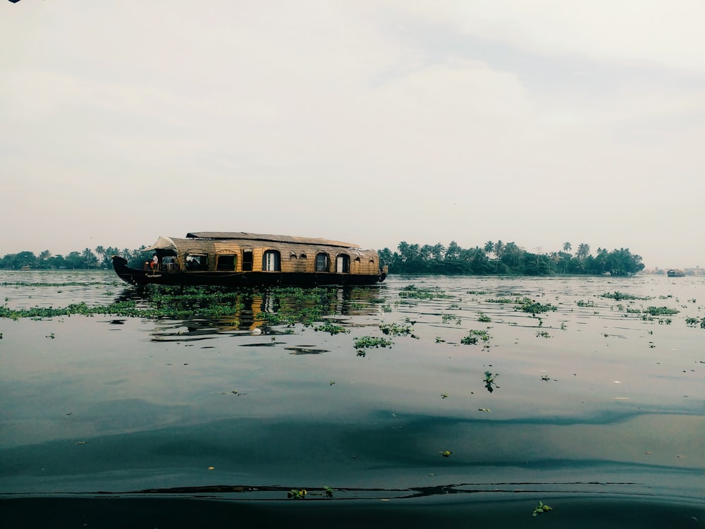 brown passenger boat on water near trees at daytime