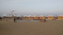 A desert campsite with several white tents arranged in a row. The area is sandy, and there is a ring of seating around a central fire pit. A dry, leafless tree stands to one side, surrounded by some basic outdoor furniture.