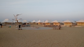 A desert campsite with several white tents arranged in a row. The area is sandy, and there is a ring of seating around a central fire pit. A dry, leafless tree stands to one side, surrounded by some basic outdoor furniture.
