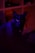 selective focus photography of black cat