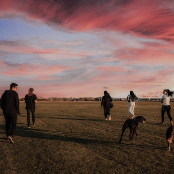 four women and one man running together with two dogs on grass field