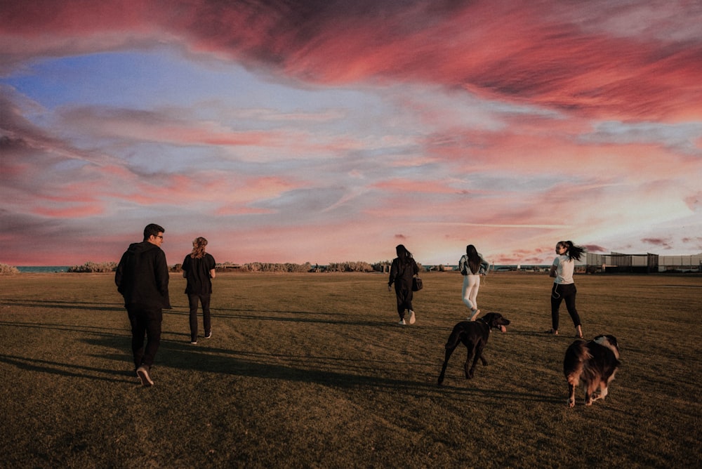 four women and one man running together with two dogs on grass field