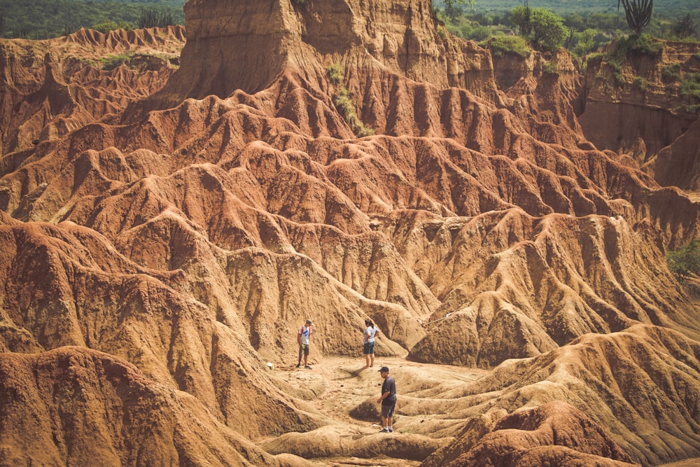 three people standing on rock formation background of green leaf tree