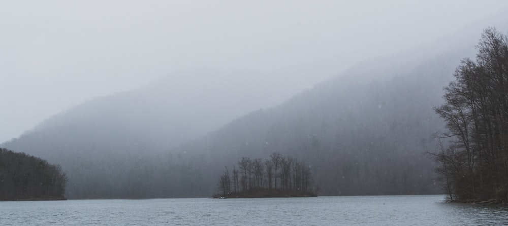 mountains covered with fog