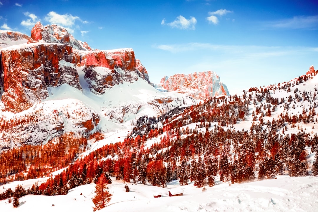snow capped mountains and red leaf trees at daytime, Infrared Dolomites