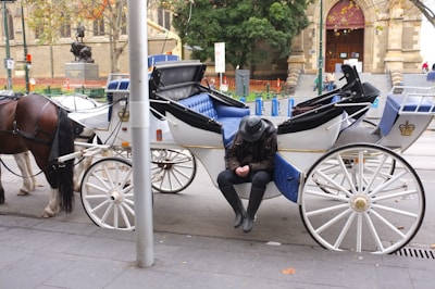 A white, elegant horse-drawn carriage is parked on a city street with a brown horse harnessed to it. The carriage features plush, blue seating and intricate designs. Inside the carriage, a person wearing a black hat and dark clothing appears to be resting with their head down. The street scene is urban, with a historical building and trees visible in the background.