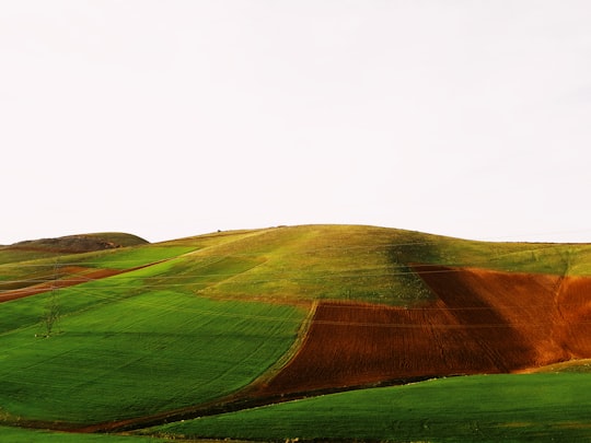 green grass field hill in Kurdistan Province Iran