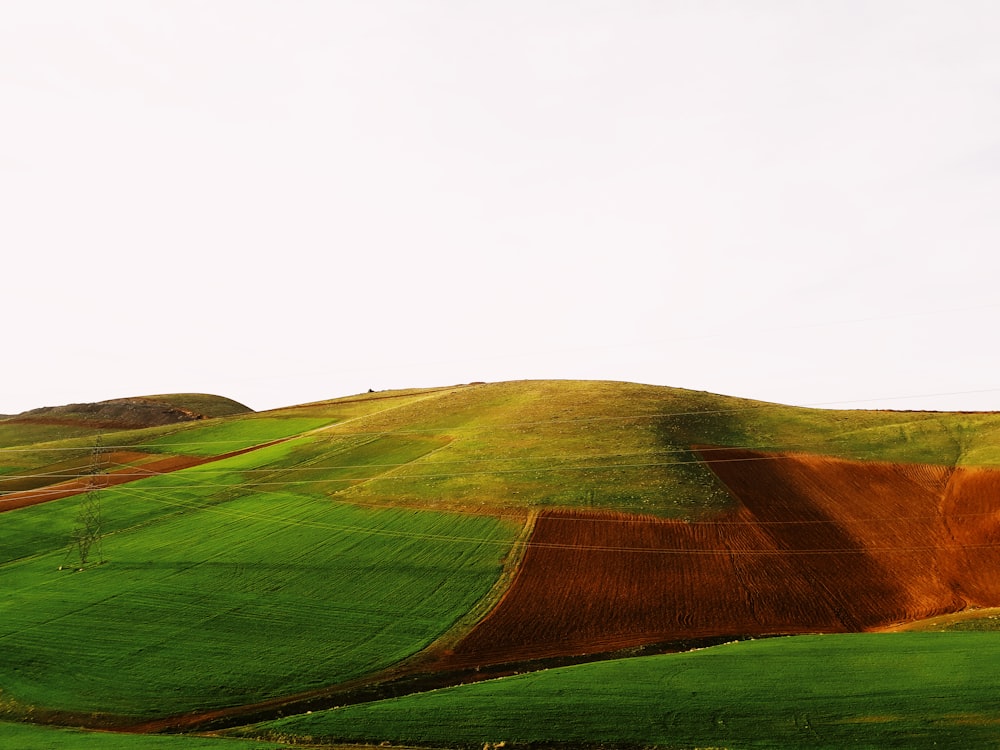 green grass field hill