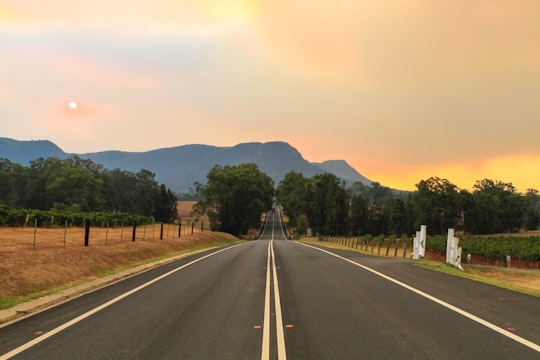 empty road between brown fields with green trees in Hunter Valley Gardens Australia