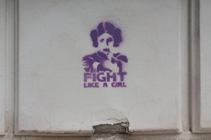Princess Leia fight like a girl wall paint