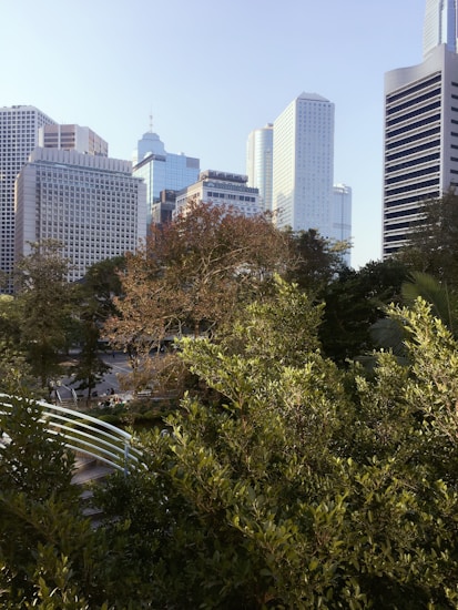 A cityscape featuring a mix of modern high-rise buildings in the background, with a lush green park in the foreground. The tall skyscrapers have glass and concrete facades, while the park is dense with trees and a white metal railing bridge crossing over a path.