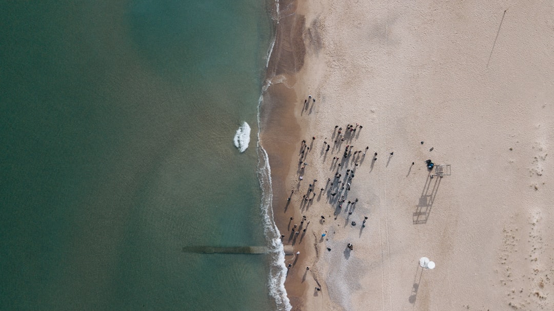 aerial view of body of water