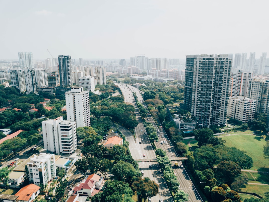 cityscape view of city with park