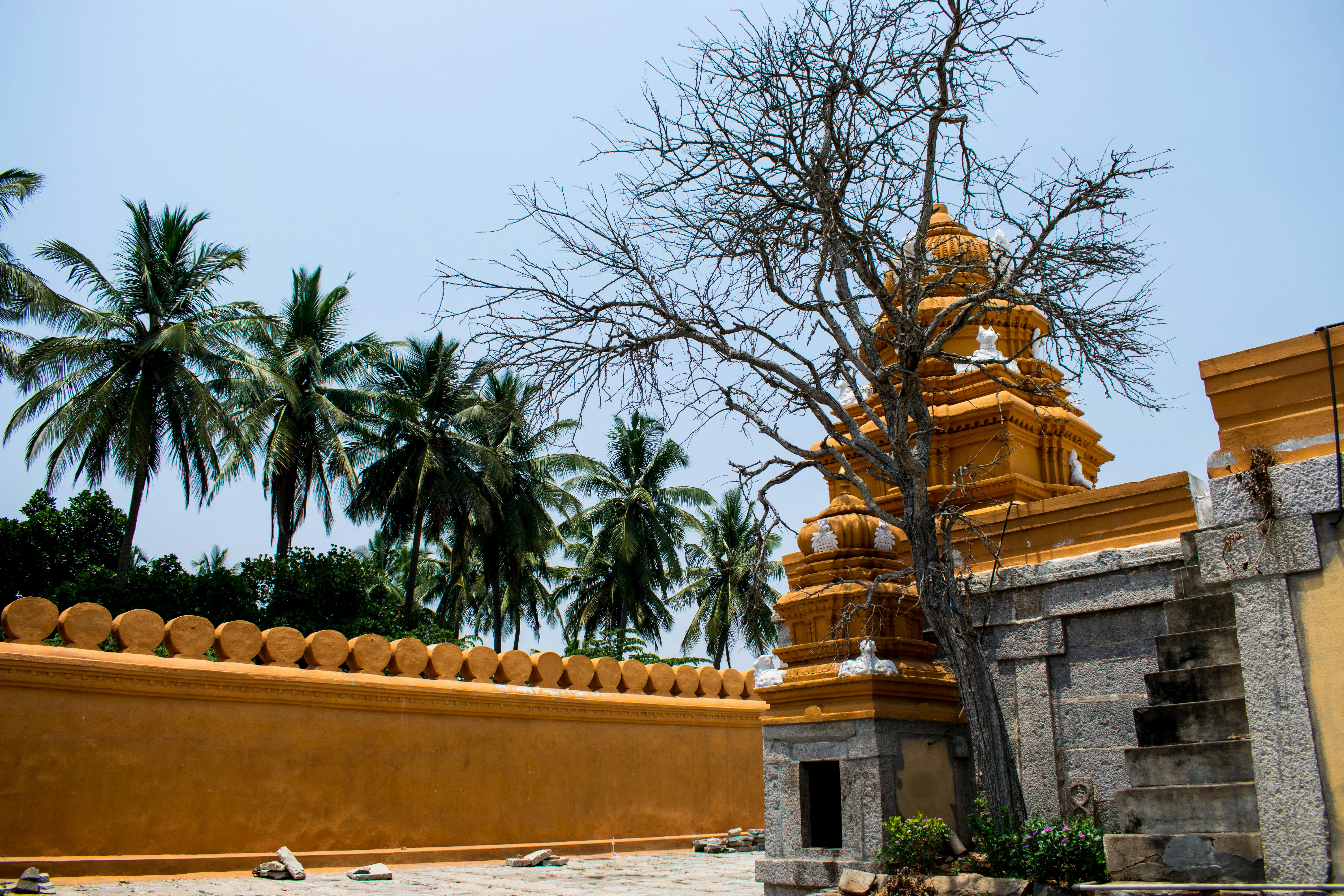 Photo by vedanthravi