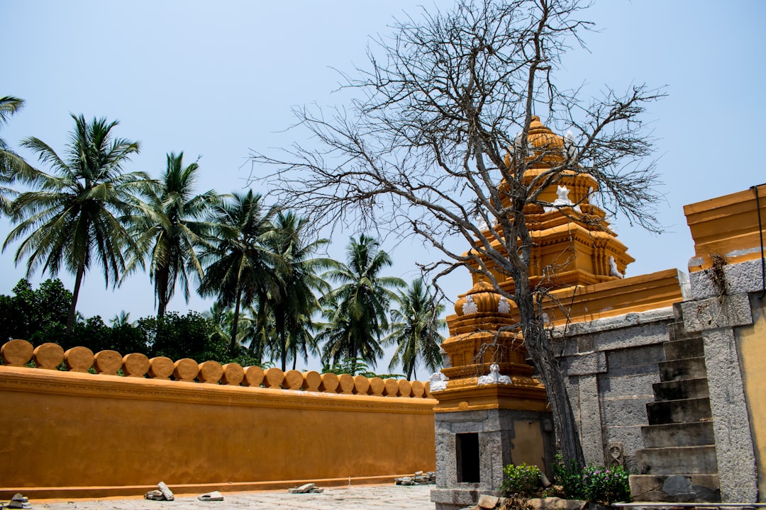 Temple photo spot Thandavapura India