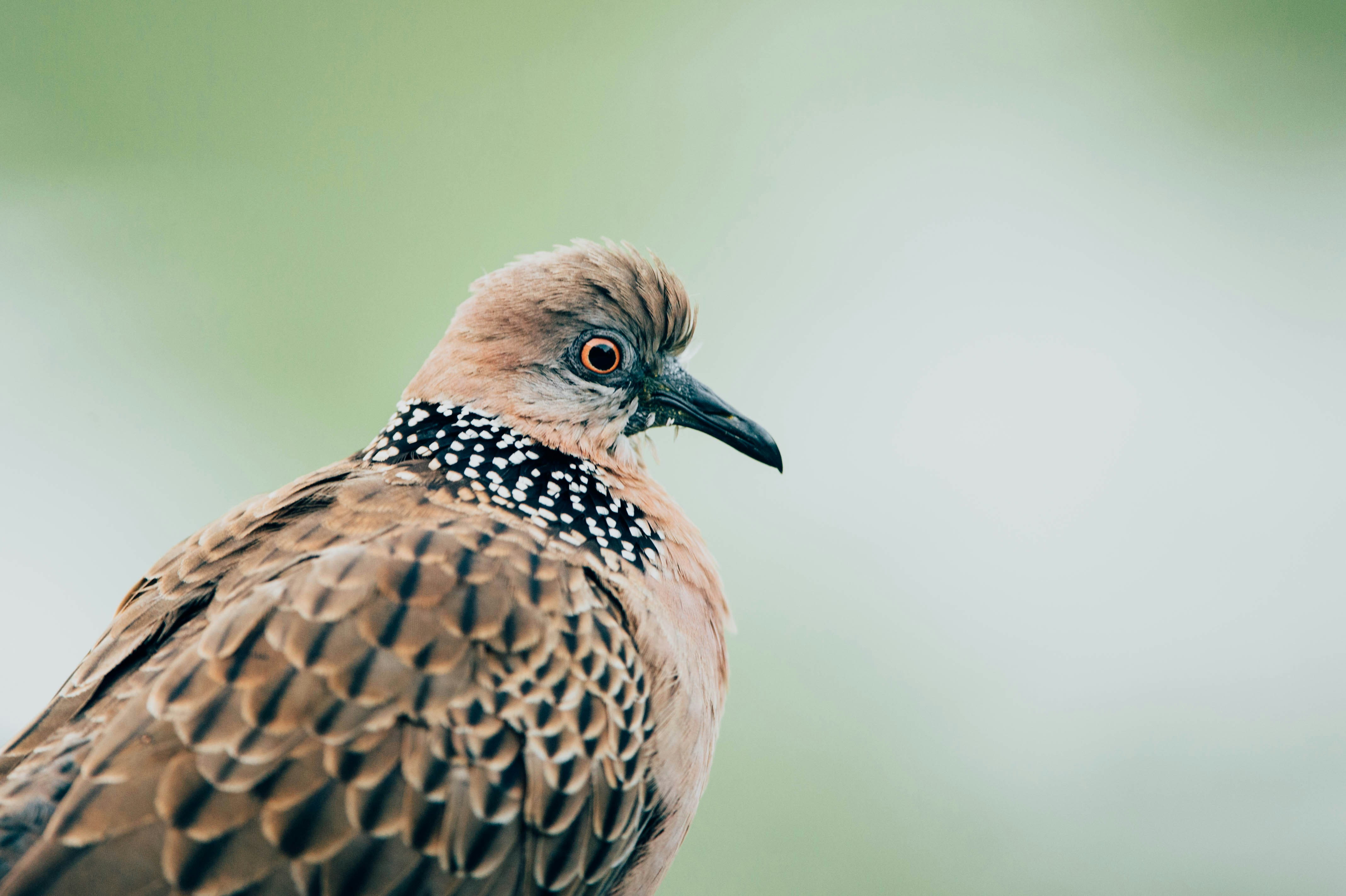 Photo by chuttersnap