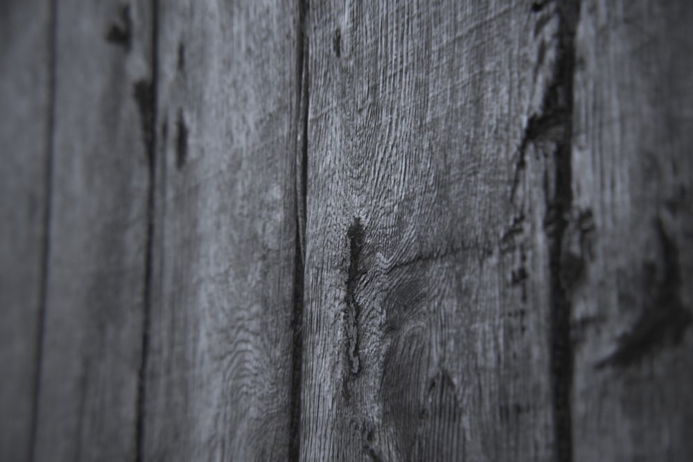 parete in legno grigio