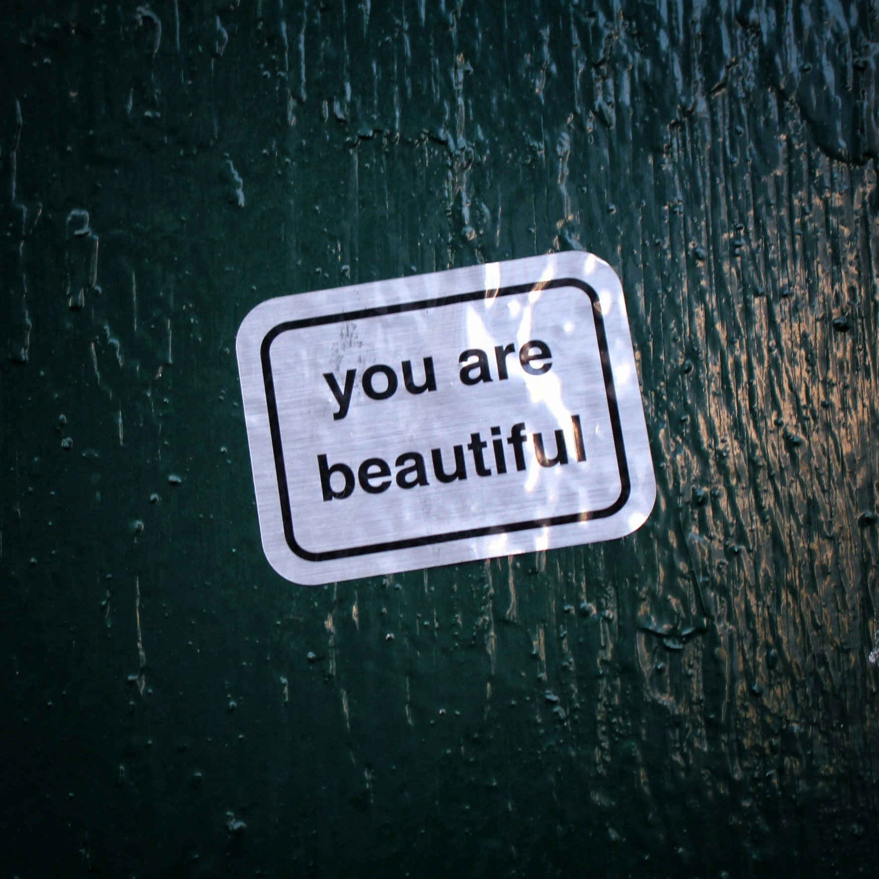 photo 1523198468753 50d27afda37c?ixlib=rb 4.0