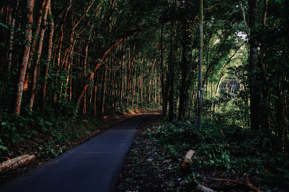 photo of empty road