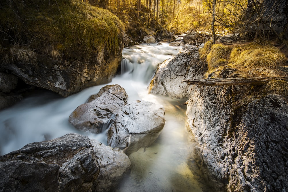 timelapse photography of river between forest