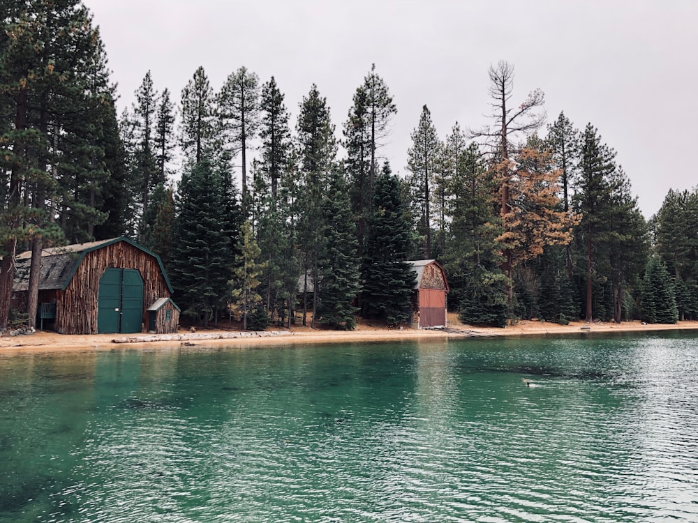 cavern near lake with forest