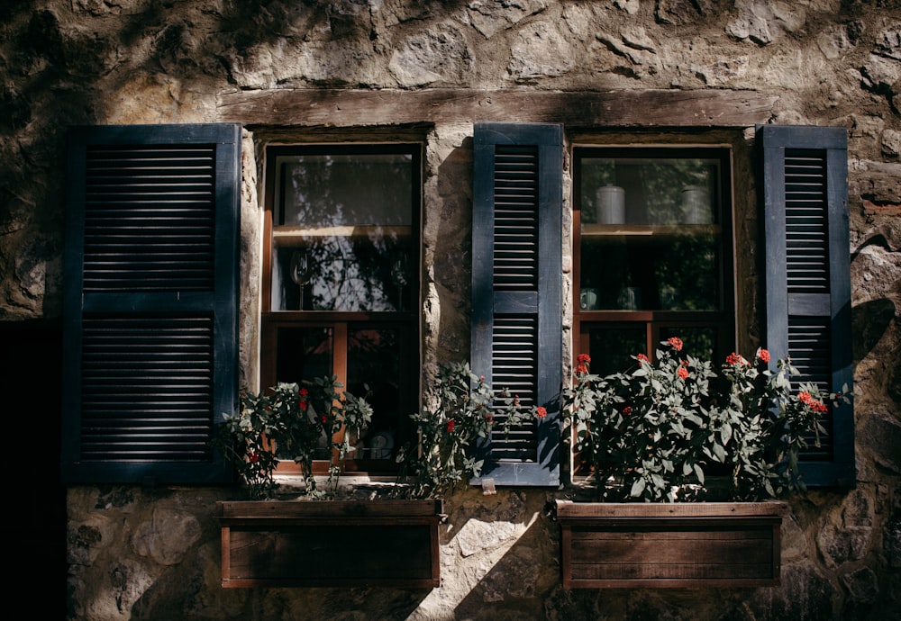 window with potted plants in front at daytime photo