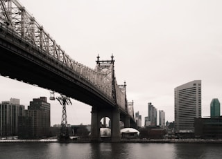 link bridge above water