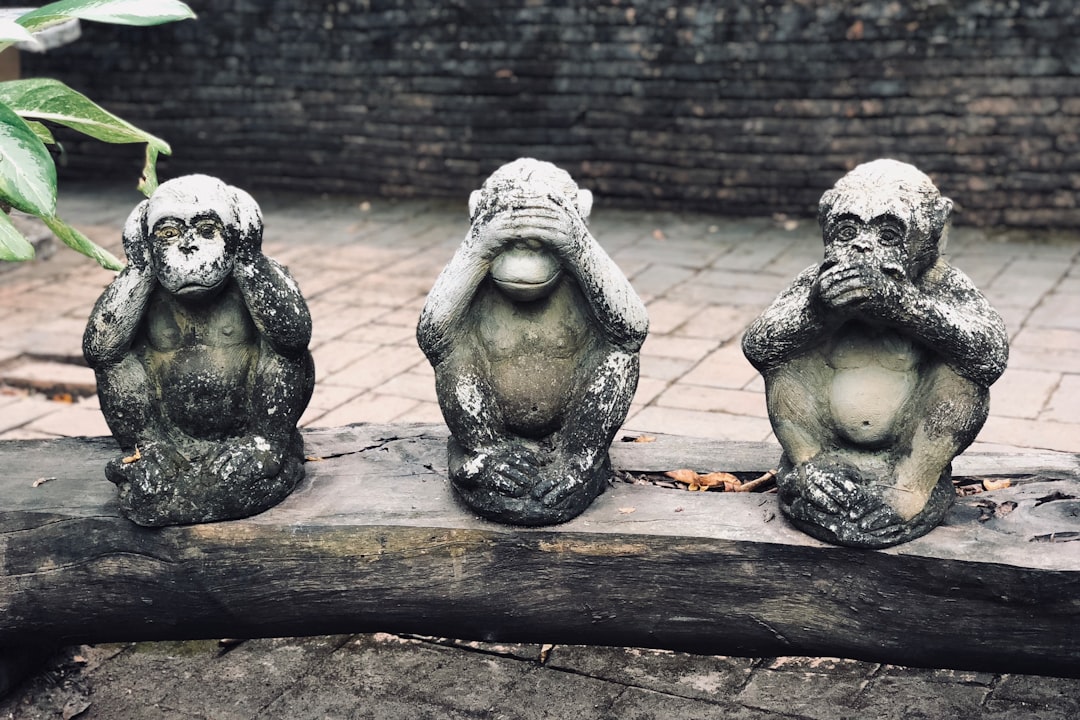 three wise monkeys statuette on log at daytime