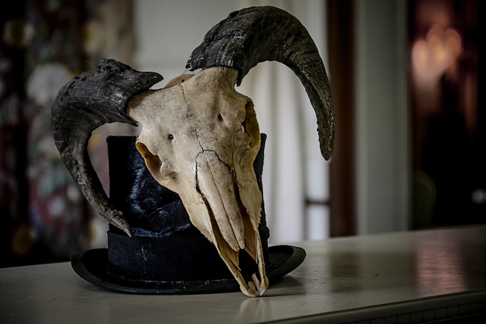 selective focus photography of bull skull