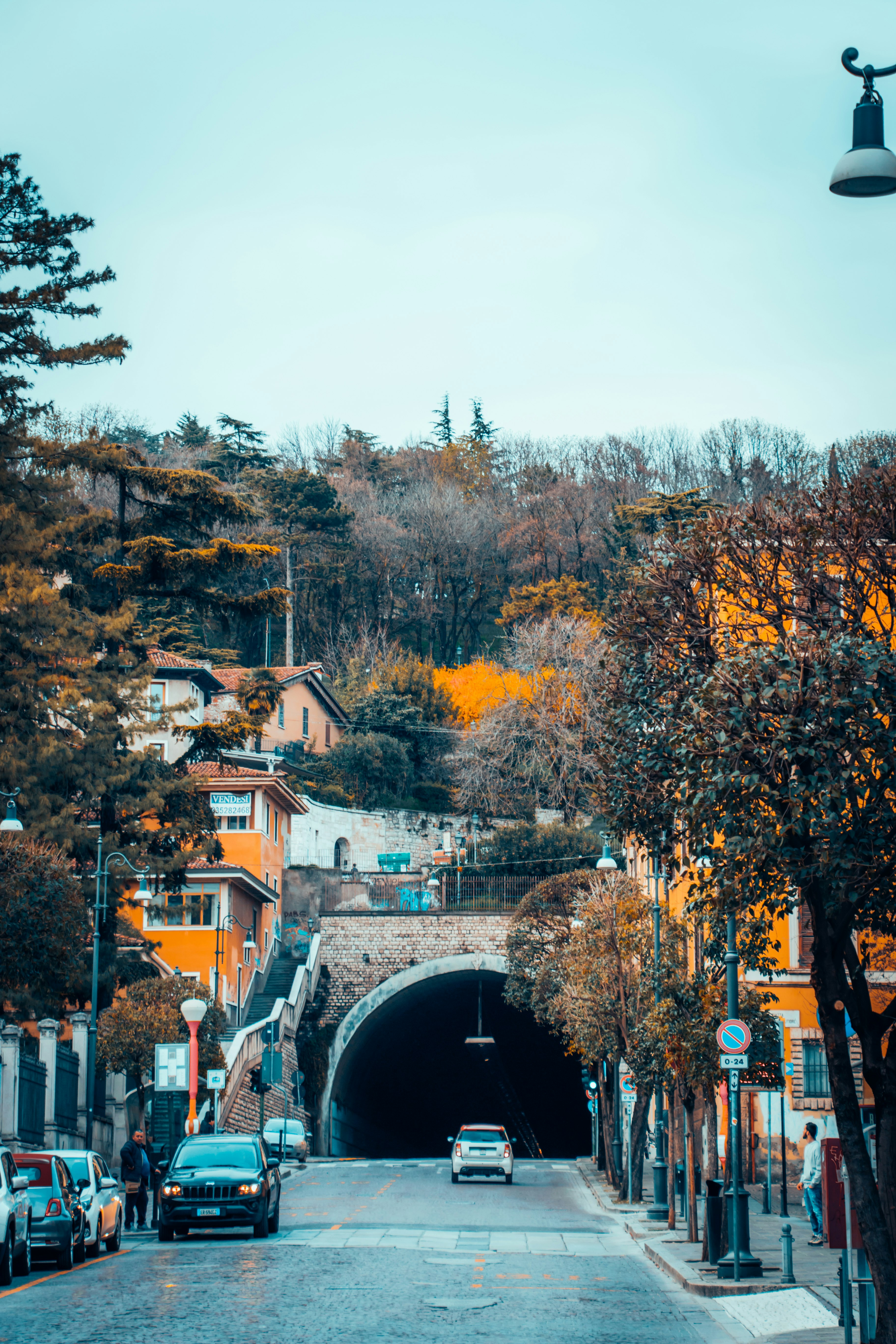 gray car between trees near buildings