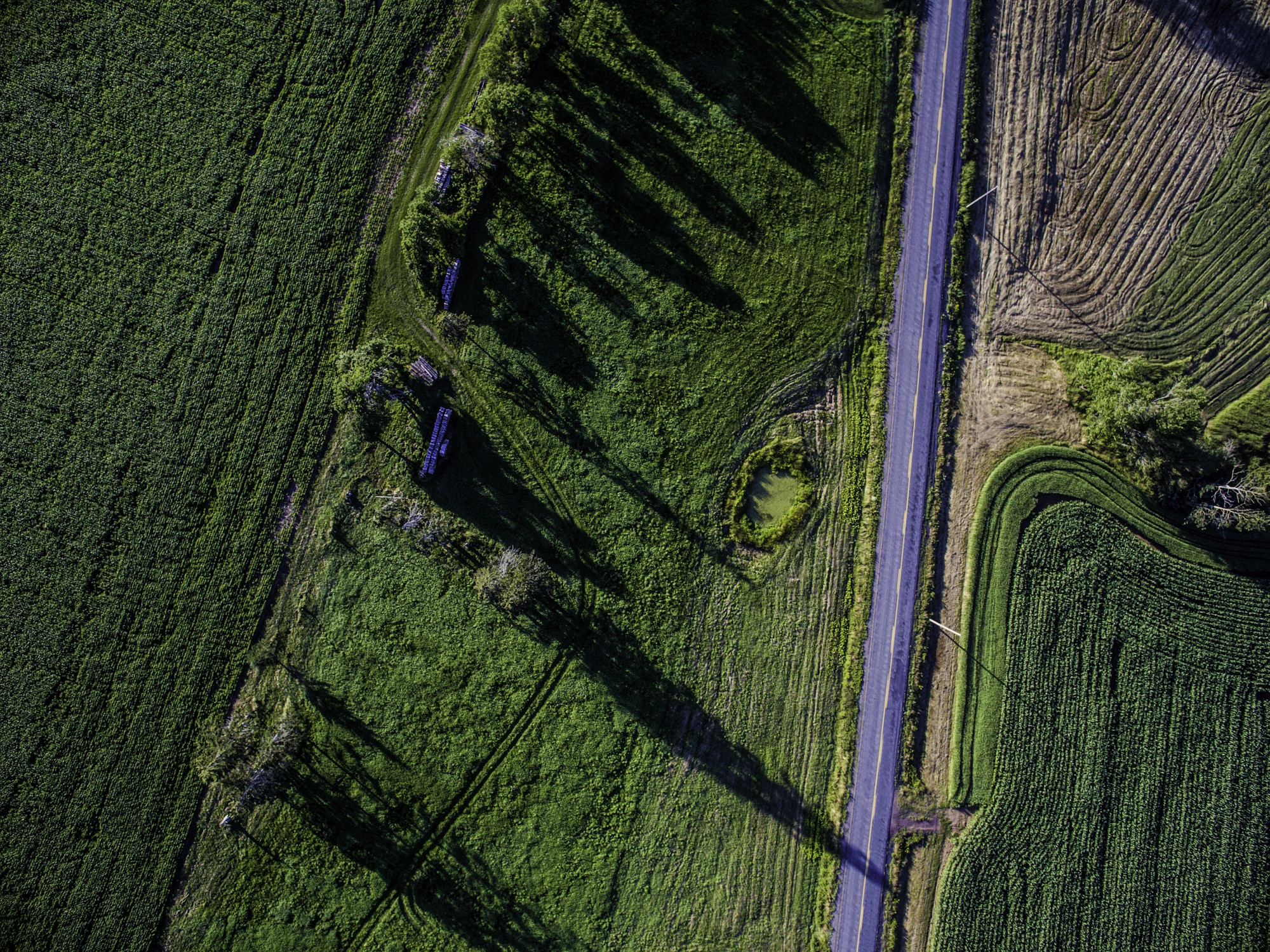 Aerial view of open green farmland edged by trees and a narrow country road