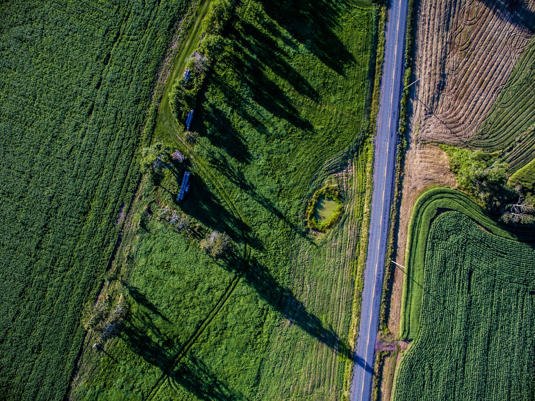 aerial photography of green field