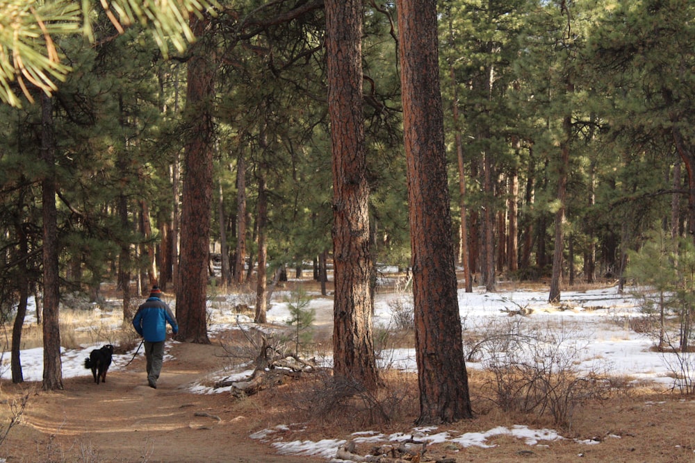 man walking beside dog on pathway surrounded with trees