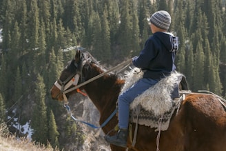 person riding brown horse