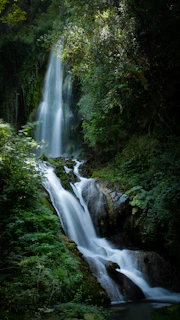 Forest waterfall similar to Laurel Falls at Laurel-Snow State Natural Area