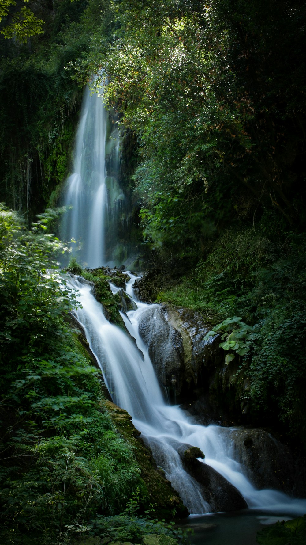 waterfalls between forest