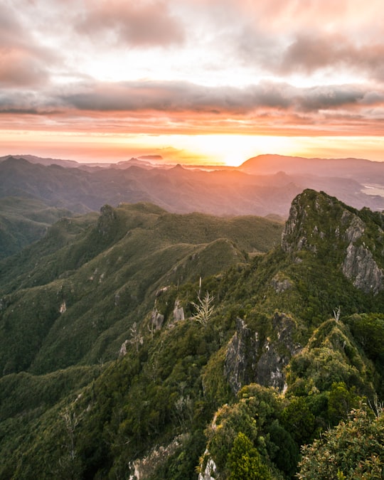 The Pinnacles things to do in Hahei Beach Road