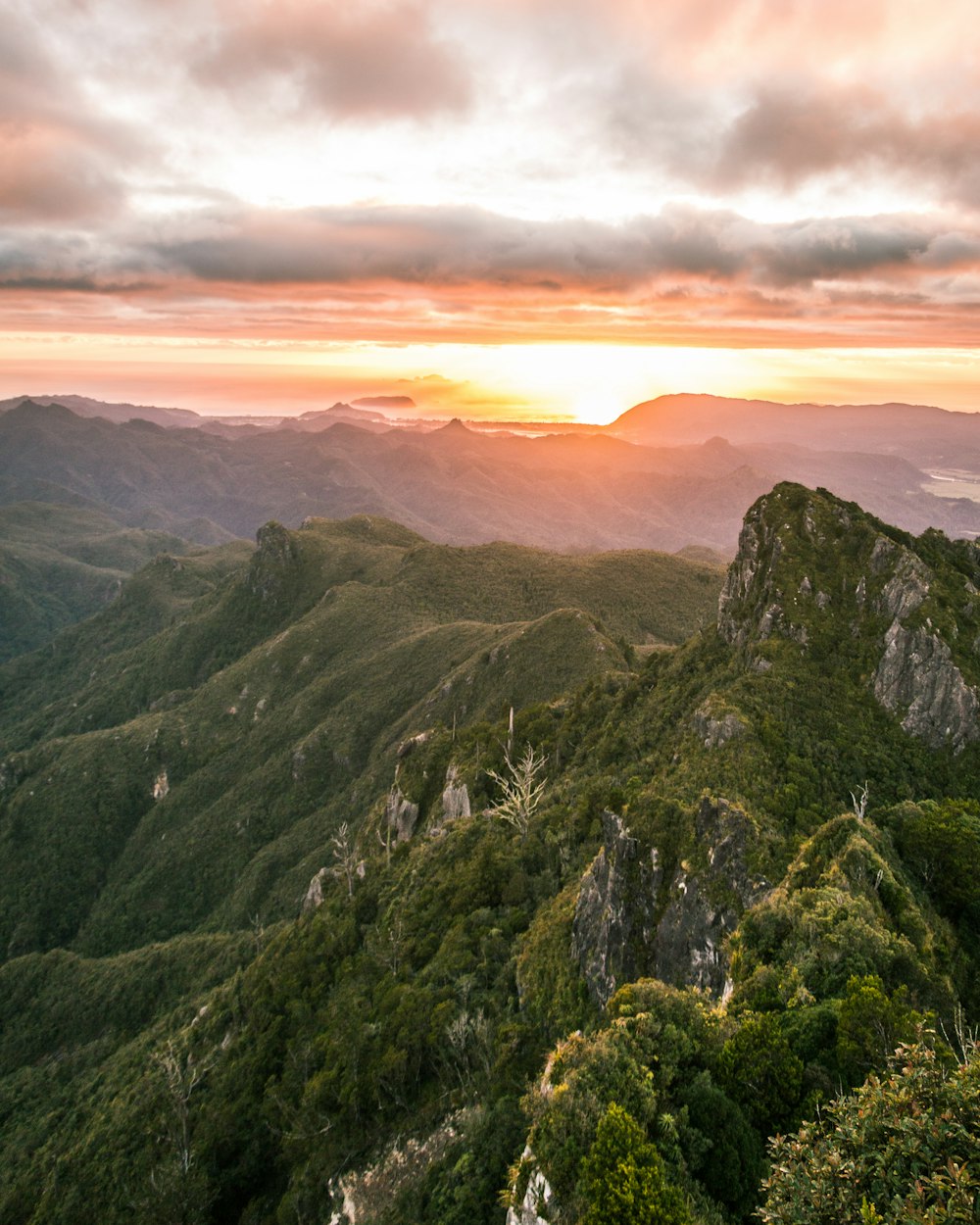 aerial photo of forest during sunrise