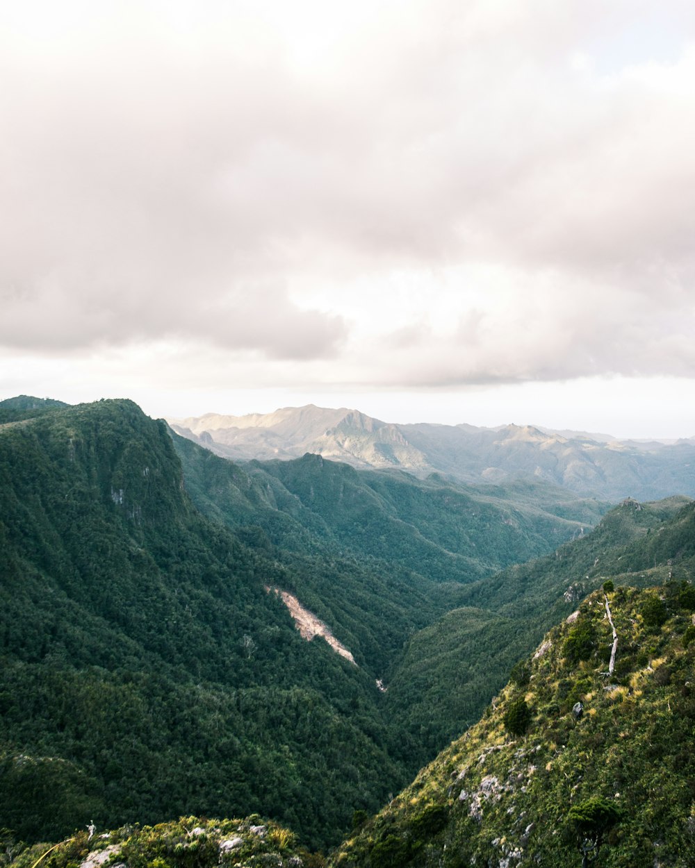 scenery of mountains