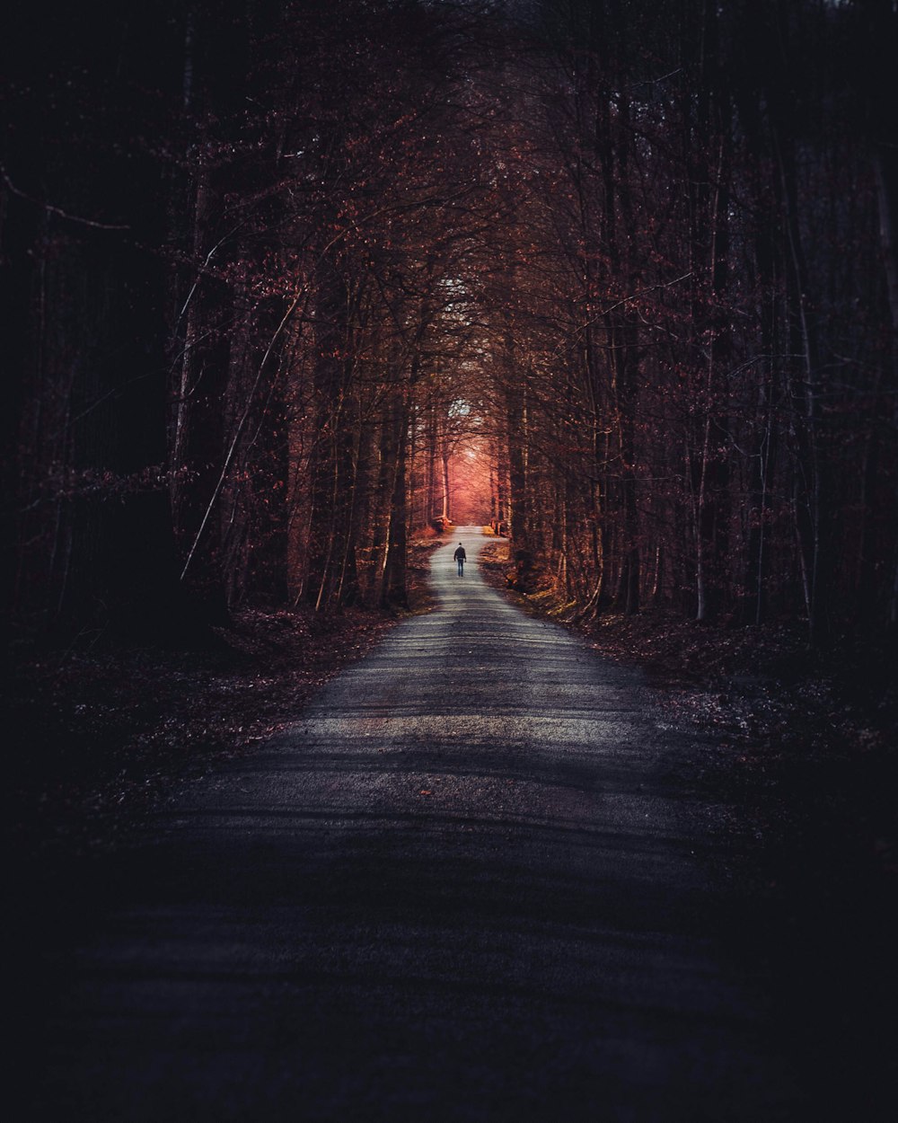 personne marchant au milieu des arbres