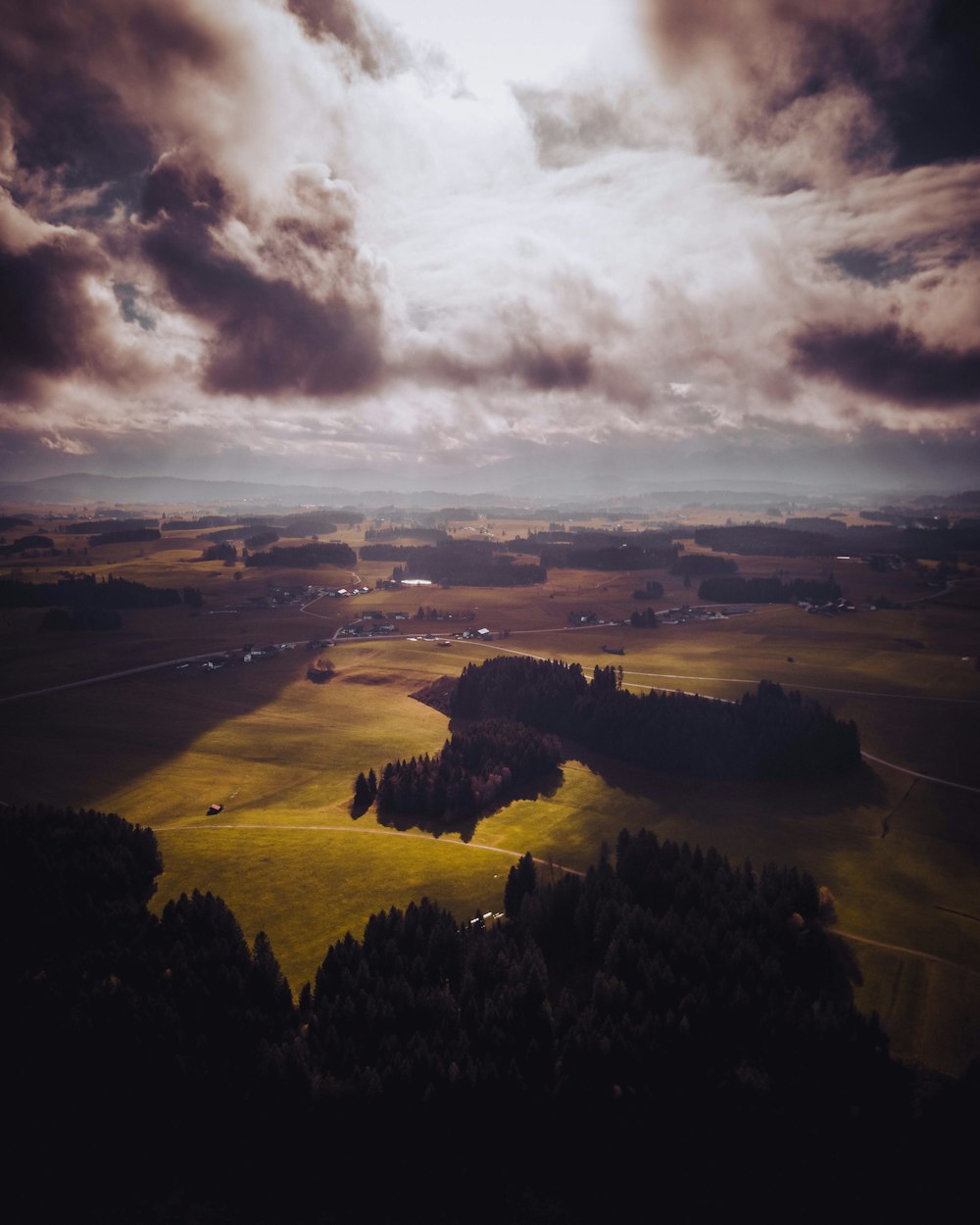 aerial photo of field and trees