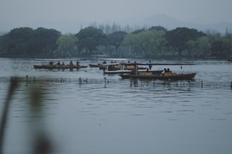 A private tour group enjoying a calm boat ride on a tranquil lake with mountains in the background.