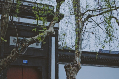 Photo 1523237871800 4cf7a656fac0?q=85&w=500&h=500&fit=crop